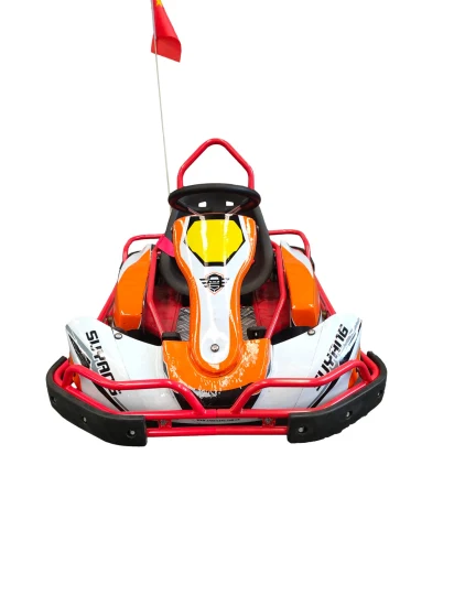 Amusement Park Kids Pedal Go Kart Racing Electric Remote Control Mini Go Karting for Sale