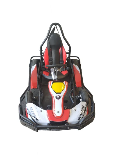 China High Quality Amusement Park Go Karts Electric Adult Pedal Mini Go Karting for Commercial